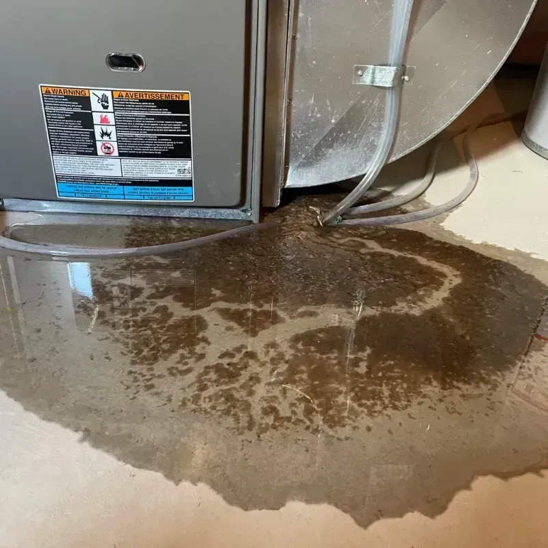 Appliance Leak Cleanup in Palm Springs North, FL